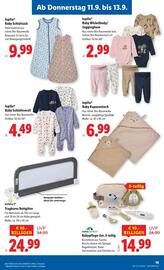 Lidl Flugblatt woche 37 Seite 22