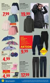 Lidl Flugblatt woche 37 Seite 31