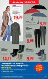 Lidl Flugblatt woche 37 Seite 31