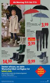 Lidl Flugblatt woche 37 Seite 32