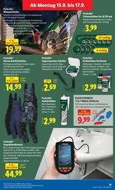Lidl Flugblatt woche 37 Seite 34