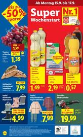 Lidl Flugblatt woche 37 Seite 43