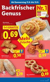 Lidl Flugblatt woche 37 Seite 8