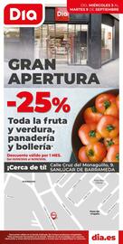 Folleto Dia semana 36 Página 1