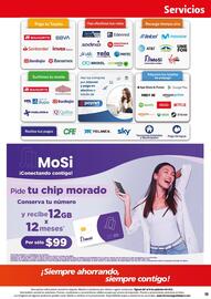Folleto Farmacias Guadalajara Página 13