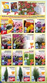CENTERSHOP Prospekt woche 37 Seite 6