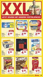Famila Nord West Prospekt woche 37 Seite 17