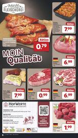 Famila Nord West Prospekt woche 37 Seite 8