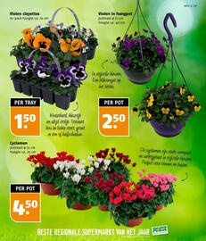 Poiesz folder week 37 Pagina 31
