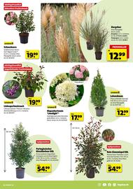 Hagebau Prospekt woche 36 Seite 5