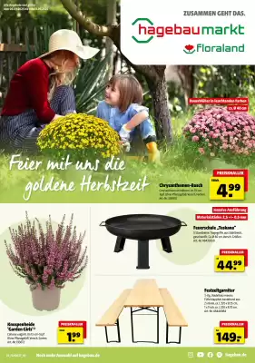 Hagebau Prospekt (gültig bis 13-09)