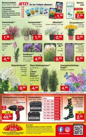 Zimmermann Prospekt woche 37 Seite 10