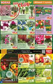 Norma Prospekt woche 38 Seite 14