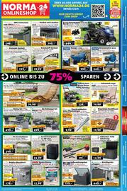 Norma Prospekt woche 38 Seite 19