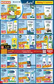 Norma Prospekt woche 38 Seite 6