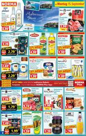 Norma Prospekt woche 38 Seite 8