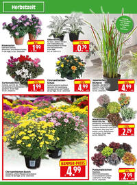 Edeka Herkules Prospekt woche 37 Seite 2