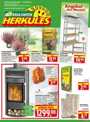 Edeka Herkules Prospekt (gültig bis 13-09)