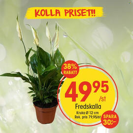 EKO reklamblad vecka 37 Sida 3