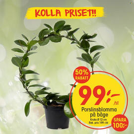 EKO reklamblad vecka 37 Sida 7