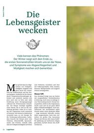 Lagerhaus Flugblatt Seite 24