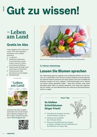Lagerhaus Flugblatt Seite 4
