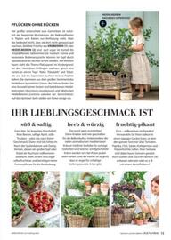 Dehner Flugblatt Seite 13