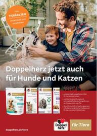 Dehner Flugblatt Seite 2
