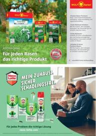 Dehner Flugblatt Seite 97