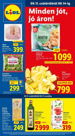 Lidl akciós újság Oldal 1