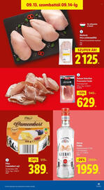 Lidl akciós újság Oldal 41