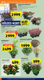 ALDI akciós újság hét 37 Oldal 24