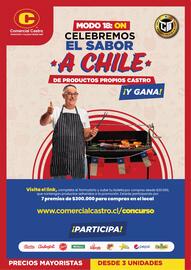 Catálogo Comercial Castro Página 7