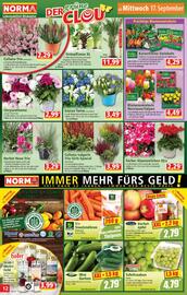 Norma Prospekt woche 38 Seite 12
