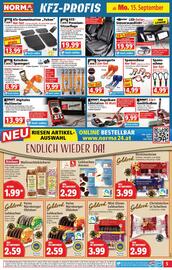 Norma Prospekt woche 38 Seite 5