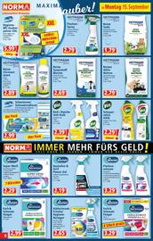 Norma Prospekt woche 38 Seite 6