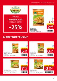 Transgourmet Flugblatt woche 38 Seite 13