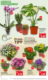Kaufland Prospekt woche 37 Seite 4