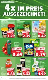 Kaufland Prospekt woche 37 Seite 46