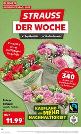 Kaufland Prospekt woche 37 Seite 52
