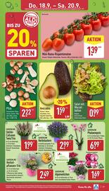 Aldi Nord Prospekt woche 38 Seite 27