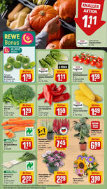 REWE Prospekt woche 37 Seite 7