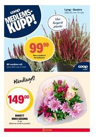 Coop Extra kundeavis uke 37 Side 21
