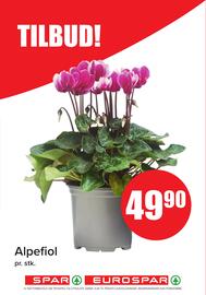Spar uke 37 Side 13