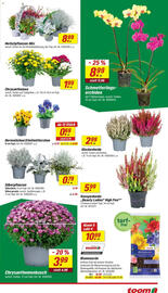 Toom Baumarkt Prospekt woche 37 Seite 3