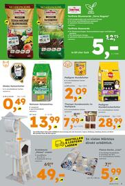 Globus Baumarkt Prospekt woche 37 Seite 3