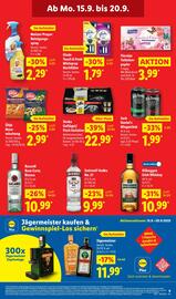 Lidl Prospekt woche 38 Seite 17