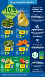Lidl Prospekt woche 38 Seite 3