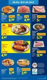 Lidl Prospekt woche 38 Seite 61