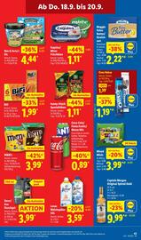 Lidl Prospekt woche 38 Seite 63